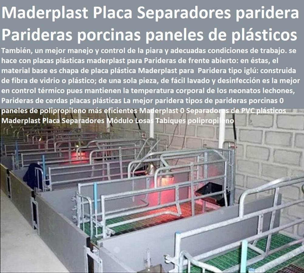 Parideras de cerdas placas plásticas La mejor paridera tipos de parideras porcinas 0 paneles de polipropileno más eficientes Maderplast 0 Separadores de PVC plásticos Maderplast Placa Separadores Módulo Losas Tabiques polipropileno Parideras de cerdas placas plásticas La mejor paridera tipos de parideras porcinas 0 paneles de polipropileno más eficientes Maderplast 0 Separadores de PVC plásticos Maderplast Placa Separadores Módulo Losas Tabiques polipropileno